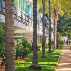 Rita Vivas - Síndica