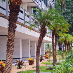 Aurélio Maduro - Síndico